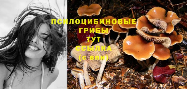 jwh Новокубанск