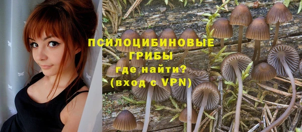 а пвп мука Новозыбков
