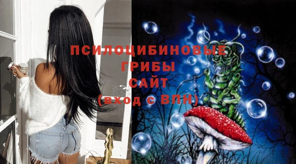 spice Новодвинск