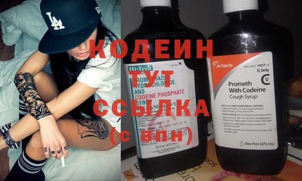 spice Новодвинск