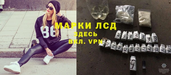 spice Новодвинск