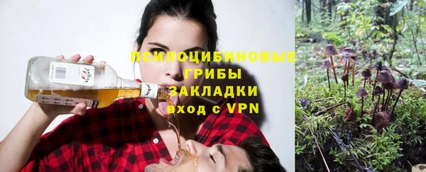 крисы Ивангород