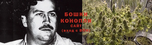 spice Новодвинск