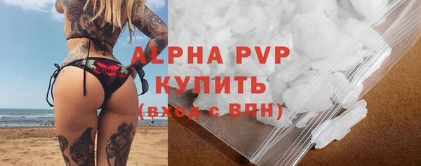 spice Новодвинск