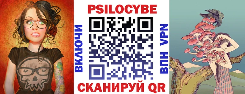 Галлюциногенные грибы Psilocybe  Купить где  Ковылкино 